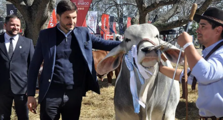 Pullaro, del lado del campo versus los que se siguen 