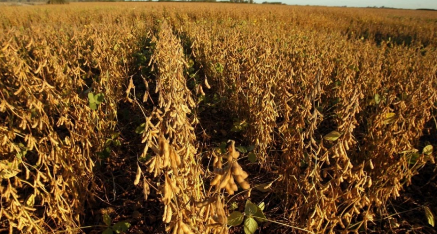 Biocombustibles: está en el Congreso un proyecto de ley de seis provincias