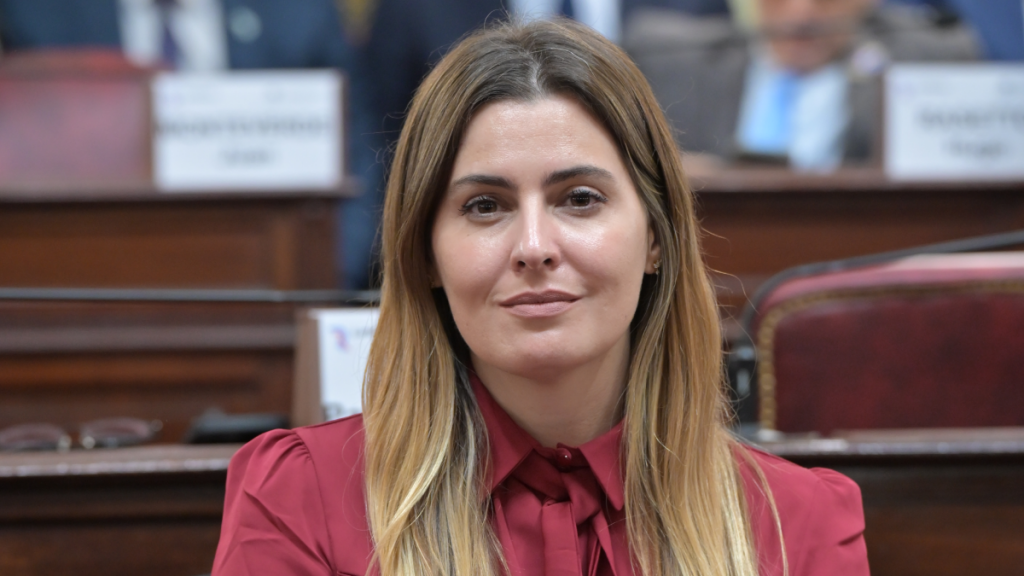 Cattalini sobre el proyecto de Ficha Limpia: “Queremos blindar al Estado de la corrupción”