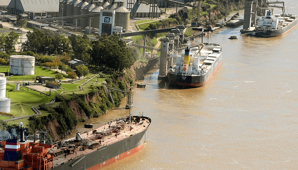 Los barcos hacen fila en el Gran Rosario: la soja argentina, en un mini “boom” exportador