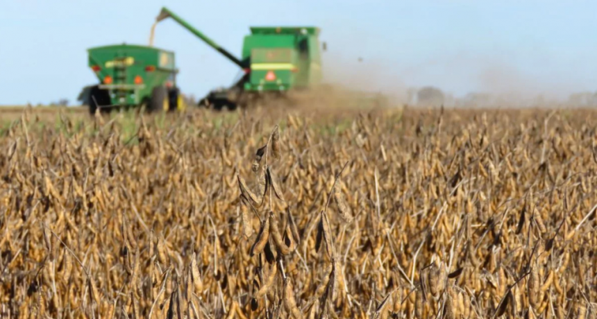 Retenciones y algo más: cuanto le pega el IVA «irrecuperable» a los agricultores de Santa Fe
