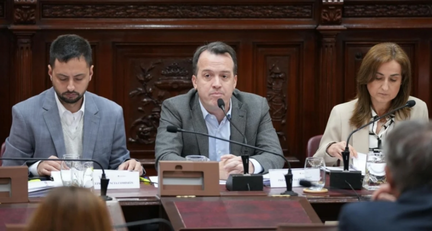 La Redactora convocó a dos comisiones antes de emitir dictamen