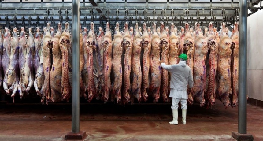 Aranceles de EE. UU. a Brasil: ¿Cómo impactarán las exportaciones de carne de Argentina?