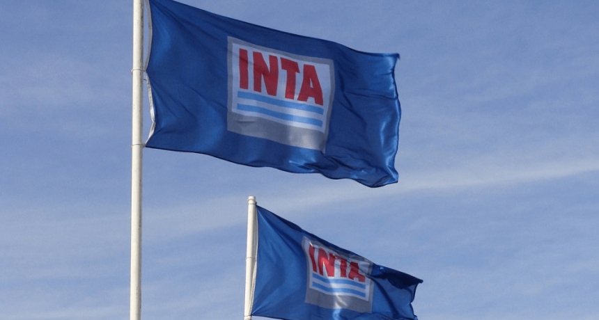 INTA: la Justicia suspendió el pase a disponibilidad de trabajadores y le impuso una multa al Gobierno