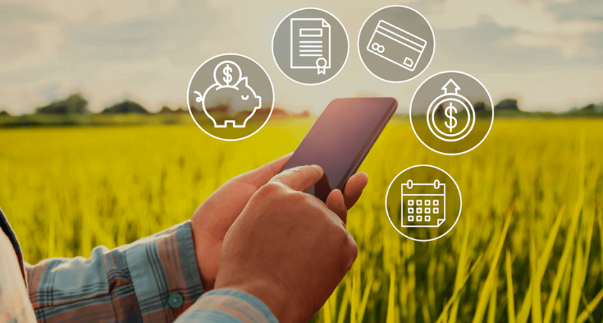 El crédito para el agro se pinta de verde: los préstamos en dólares crecieron 133% en un año