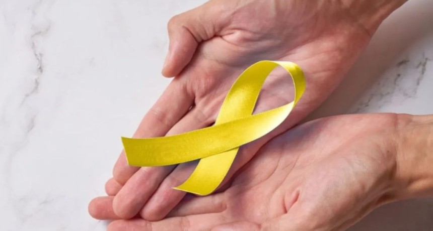 Santa Fe avanza con una ley para prevenir el suicidio: el Senado aprob&oacute; la creaci&oacute;n de la l&iacute;nea 135
