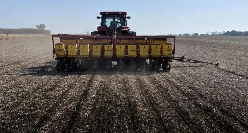 En un escenario marcado por El Ni&ntilde;o, arranc&oacute; la campa&ntilde;a de girasol con una intenci&oacute;n r&eacute;cord y el exceso de agua ya afecta al trigo