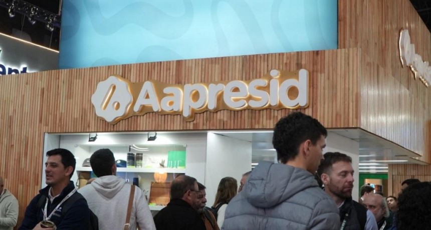 El campo empuja pese a la carga tributaria y el d&oacute;lar atrasado, con mercado dispar y t&iacute;mido cr&eacute;dito