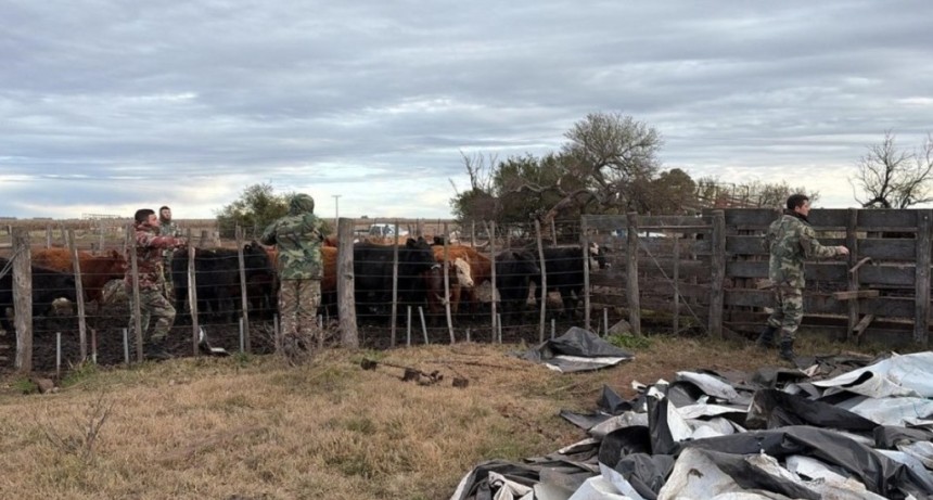 El abigeato como testimonio del vandalismo rural: &ldquo;Estuve a nada de decir tiro todo al diablo y abandono&rdquo;