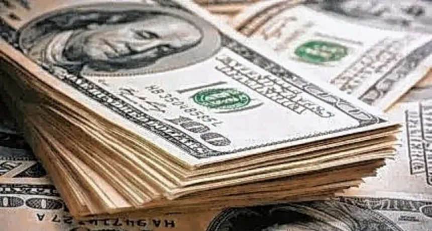 Para poder comprar el cupo de d&oacute;lares hay que dar de baja la solicitud de subsidios 