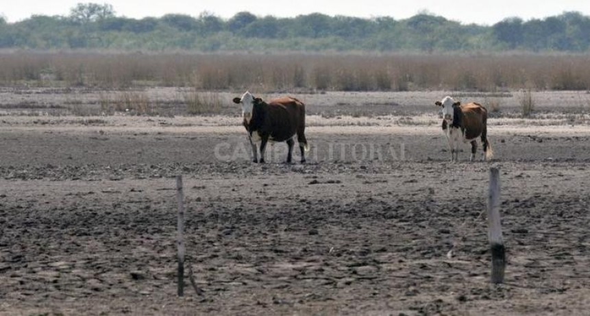  Apareci&oacute; la plata para los cr&eacute;ditos por emergencia en el norte