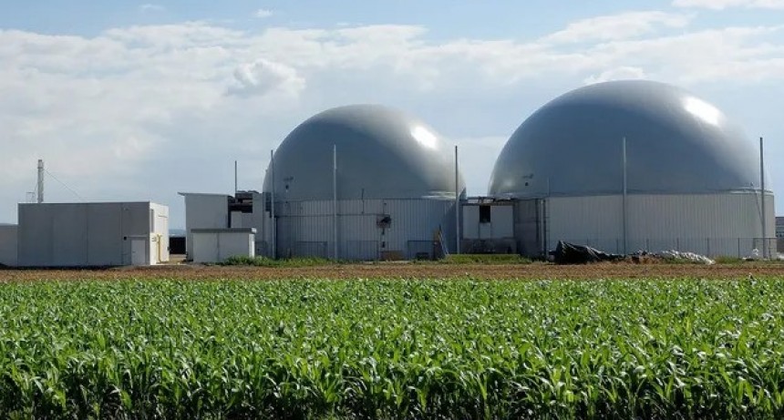 En Argentina funcionan 27 plantas de biog&aacute;s que transforman residuos agropecuarios en energ&iacute;a