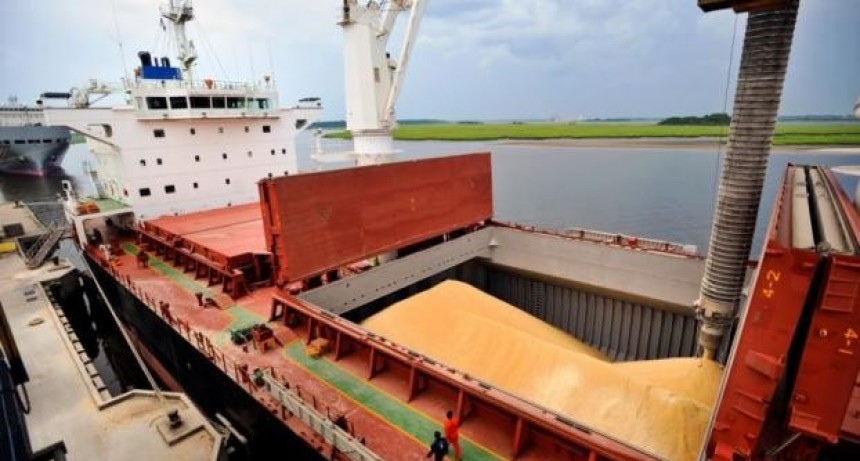 Tras las nuevas medidas, industriales aceiteros estiman que ingresar&aacute;n 5.000 millones de d&oacute;lares en septiembre