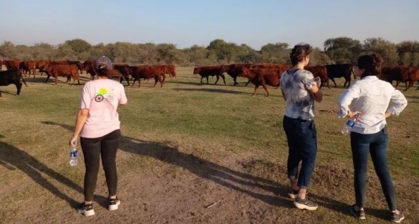 Un programa de buenas pr&aacute;cticas ganaderas en el norte santafesino