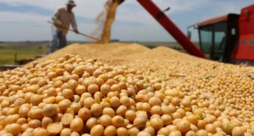 El d&oacute;lar soja empuj&oacute; los negocios: se registraron operaciones por 2,13 millones de toneladas