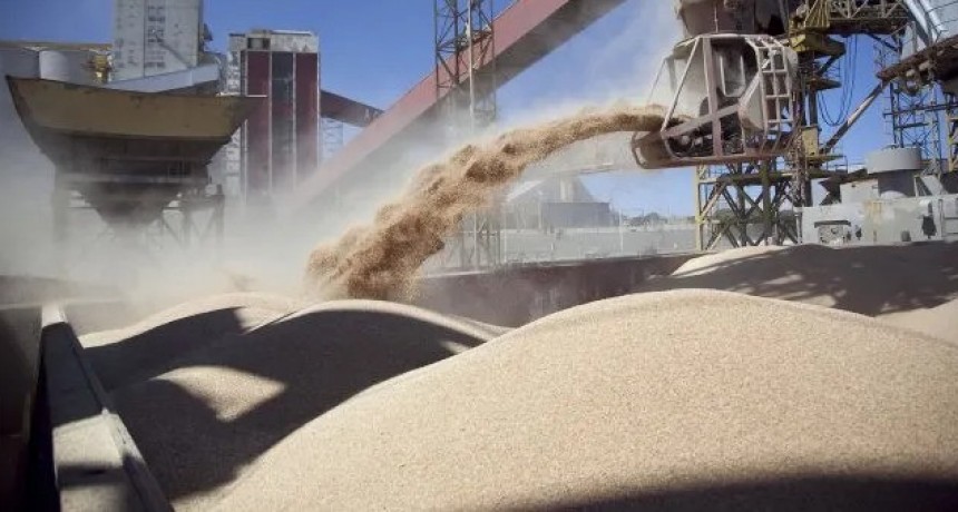 D&oacute;lar soja: se multiplican las ventas y el Banco Central compr&oacute; u$s 140 millones