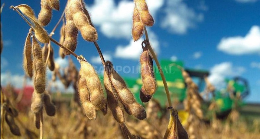 Expellers, balanceados y alquileres fueron exclu&iacute;dos del d&oacute;lar soja