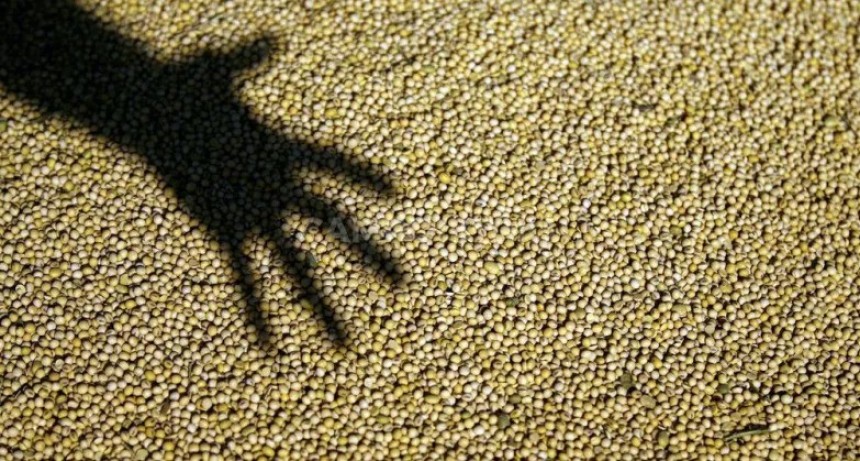  Apriete a sojeros: quien no liquide la cosecha pagar&aacute; m&aacute;s inter&eacute;s