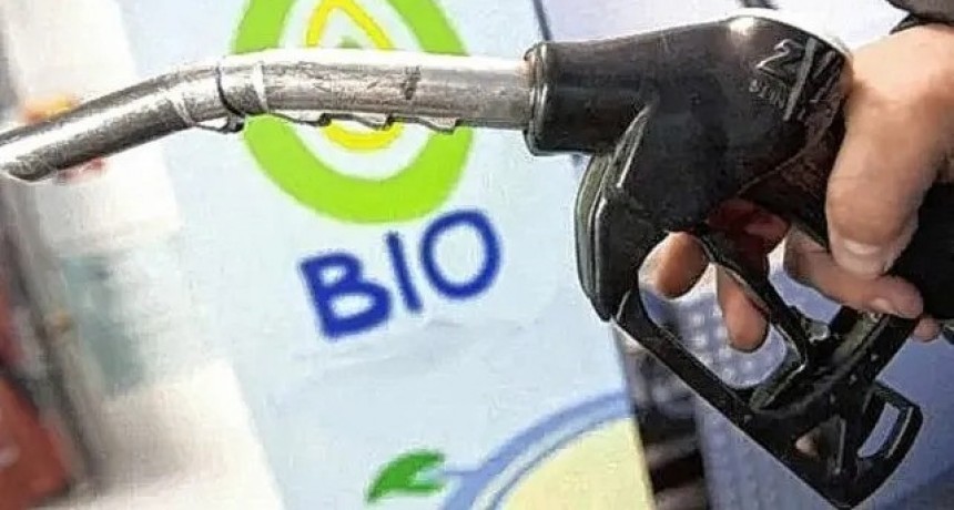 Veh&iacute;culos oficiales empezar&aacute;n a trabajar "con biodi&eacute;sel al 100%"