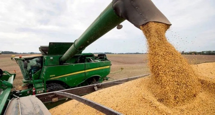 D&oacute;lar soja: acopiadores piden extenderlo hasta 31 de octubre para que no afecte los precios