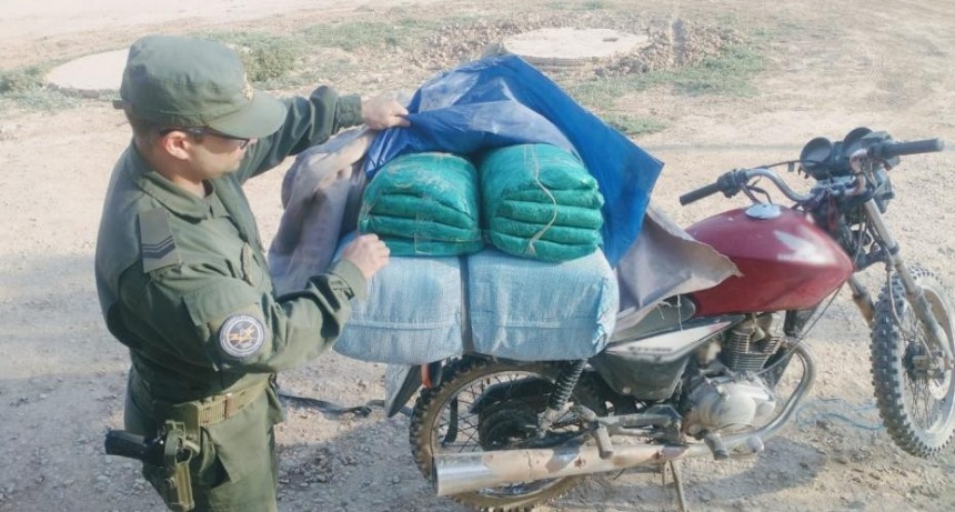 Dos sujetos se las ingeniaron para cargar kilos y kilos de hoja de coca en sus motos