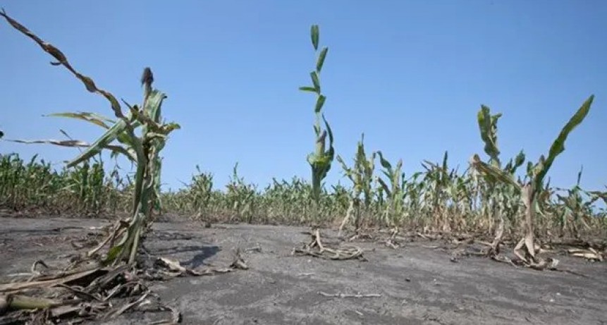Este invierno fue el s&eacute;ptimo m&aacute;s seco en 61 a&ntilde;os y el campo toma nota de la tendencia