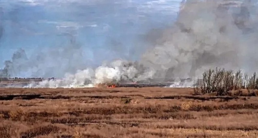 Qui&eacute;nes son los due&ntilde;os de las explotaciones agropecuarias en las islas
