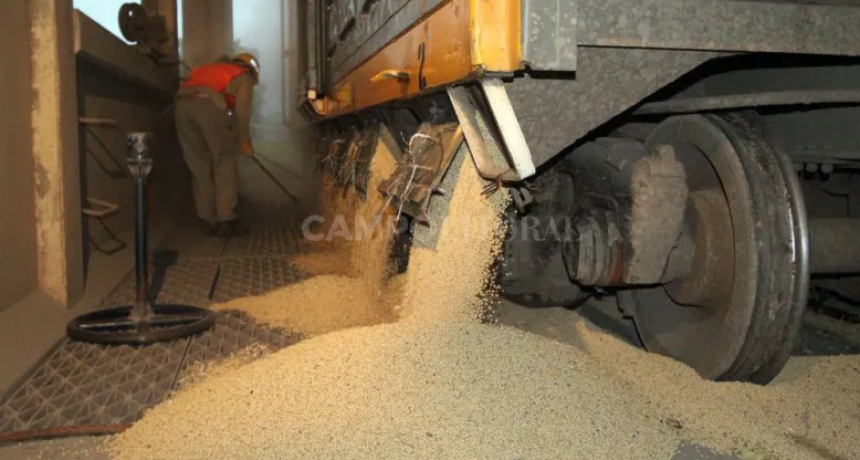 Por el d&oacute;lar especial ya se vendieron casi 7 millones de toneladas de soja