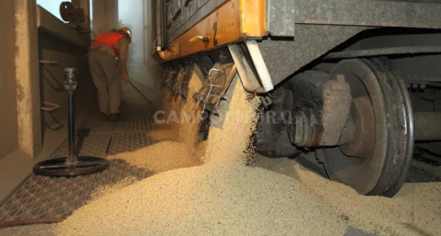 Santa Fe apunta a decretar una "emergencia agropecuaria de precisi&oacute;n" 