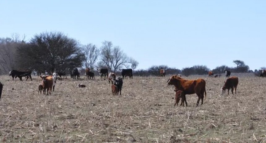 Clima: La Ni&ntilde;a se planta hasta el 2023