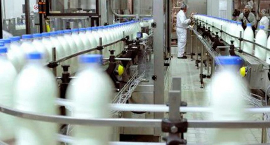 Las exportaciones de l&aacute;cteos aumentaron m&aacute;s de un 20% y registraron el mayor ingreso de d&oacute;lares desde el 2014 