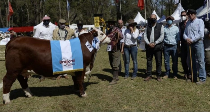 Las 3 razas m&aacute;s influyentes en la ganader&iacute;a del norte argentino se dan cita esta semana en Santiago