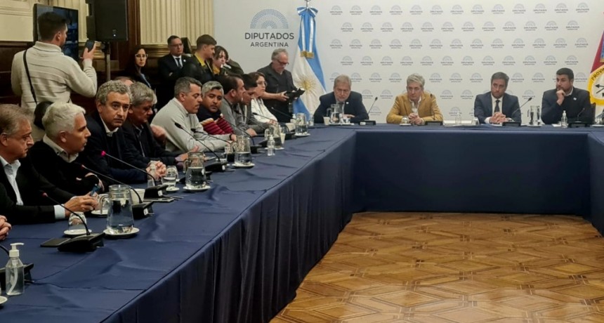 MIRABELLA EN LAS ISLAS DEL DELTA: &ldquo;ESTAMOS ORGULLOSOS DEL TRABAJO DE LOS BRIGADISTAS. PERO CON EL ESFUERZO DE ELLOS SOLOS NO ALCANZA&rdquo;