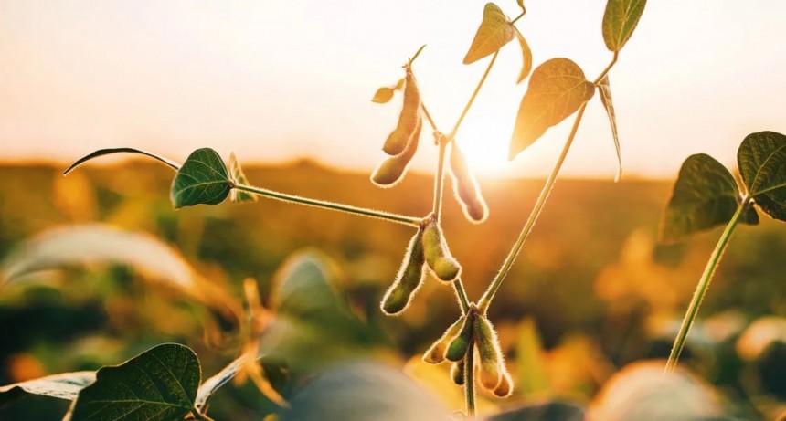 Los meteor&oacute;logos adelantan la finalizaci&oacute;n de La Ni&ntilde;a para principios del a&ntilde;o pr&oacute;ximo