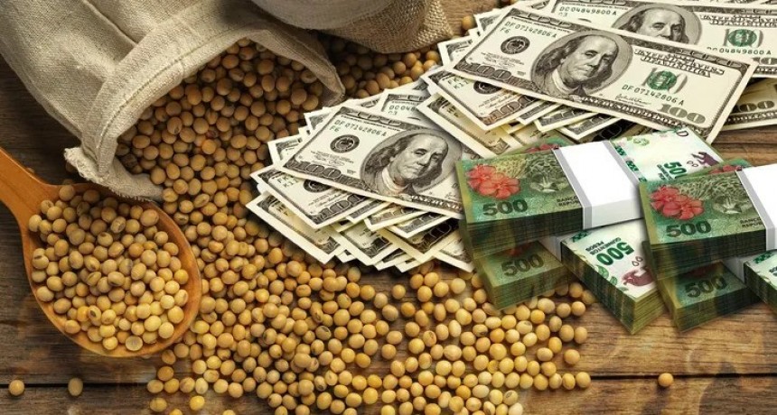 D&oacute;lar soja: se comercializaron 12,8 millones de toneladas