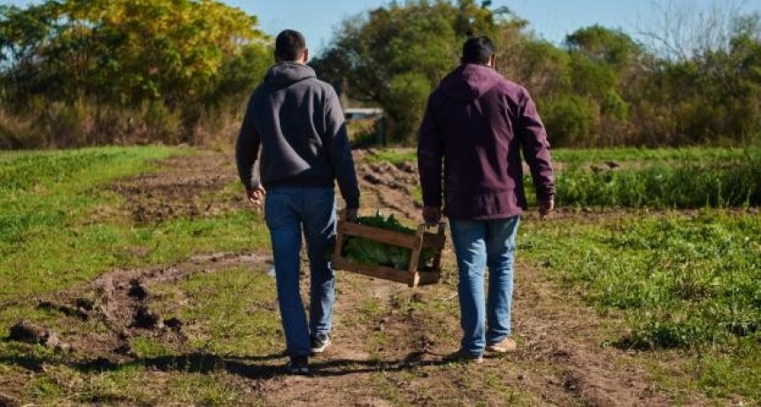 Se prorrog&oacute; hasta el 2 de octubre la inscripci&oacute;n al programa M&oacute;dulos Productivos de la Agricultura Familiar