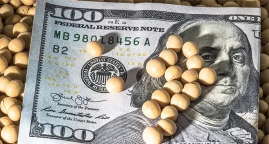 &ldquo;D&oacute;lar Soja&rdquo;: se emiti&oacute; la resoluci&oacute;n que ratifica su conclusi&oacute;n el 30 de septiembre