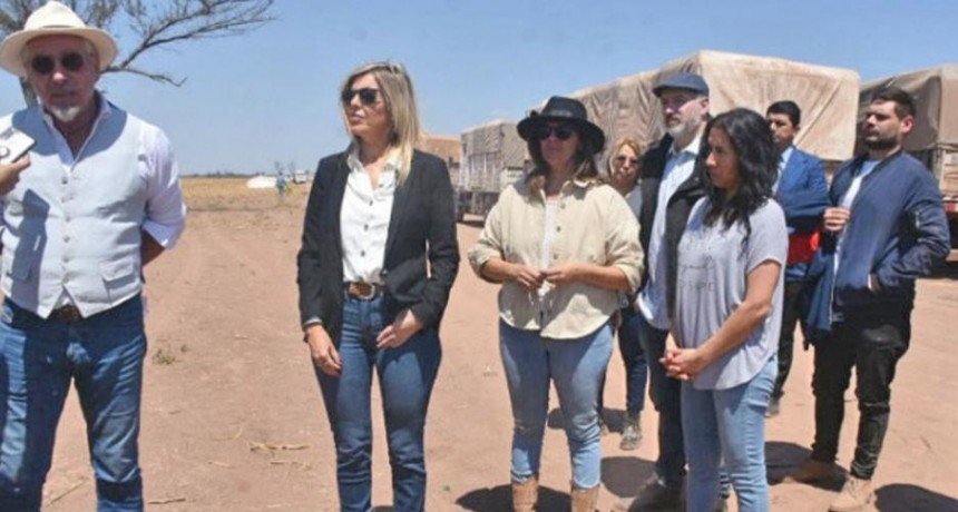 Fiscal&iacute;a de Estado comenz&oacute; un operativo de secuestro de granos