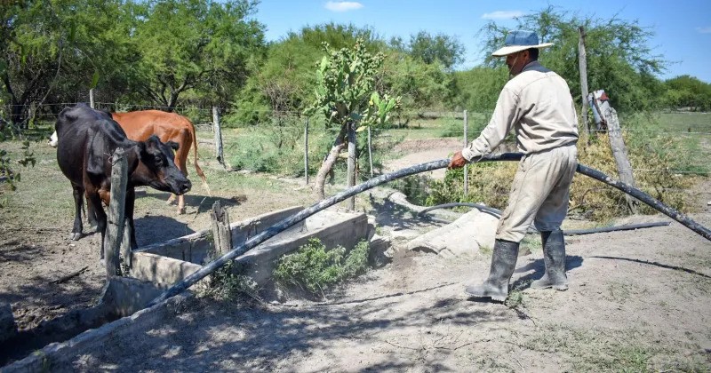 Abren la inscripción para un subsidio de $200.000 destinado a pequeños productores