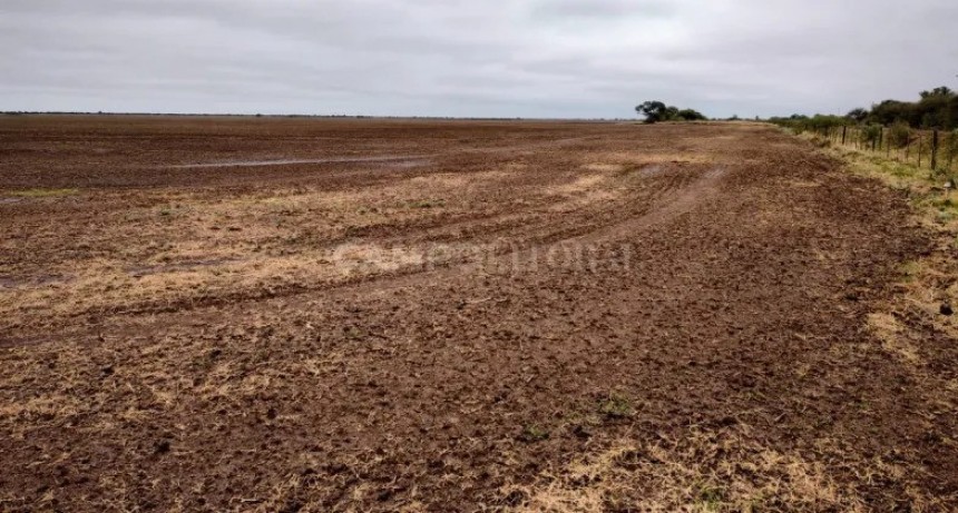 El Niño llegó al sur y al norte, pero el centro santafesino sigue esperando 