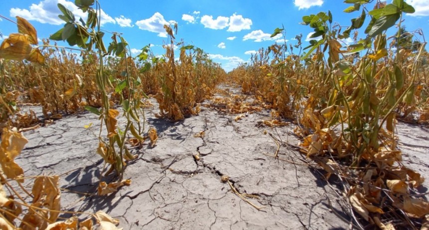 La provincia prorrogó la emergencia agropecuaria por sequía en todo el territorio santafesino
