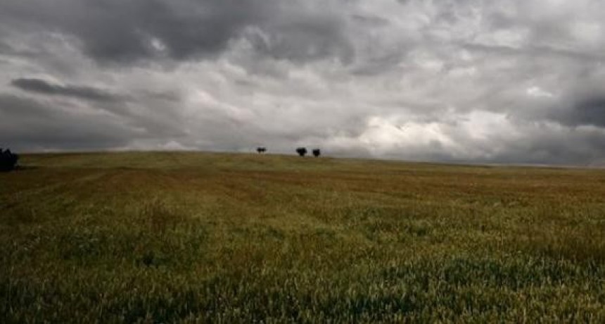 Parte de Santa Fe sigue en alerta amarillo por tormentas, y emitieron uno naranja por fenómenos severos en Misiones, Corrientes, Entre Ríos y Chaco