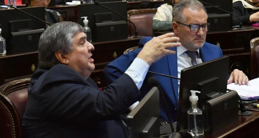 Ganancias, Alquileres y pliegos: el menú de una posible sesión del Senado para el jueves