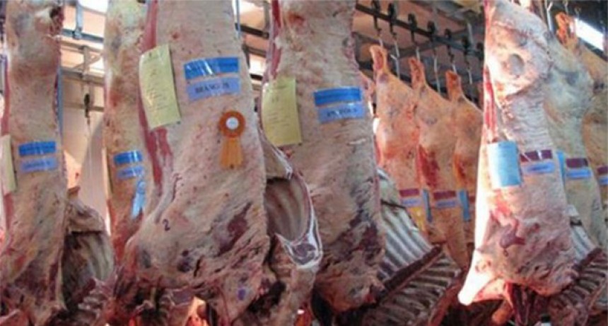 Se pondrá en marcha la plataforma de trazabilidad de soja y carne bovina libres de deforestación