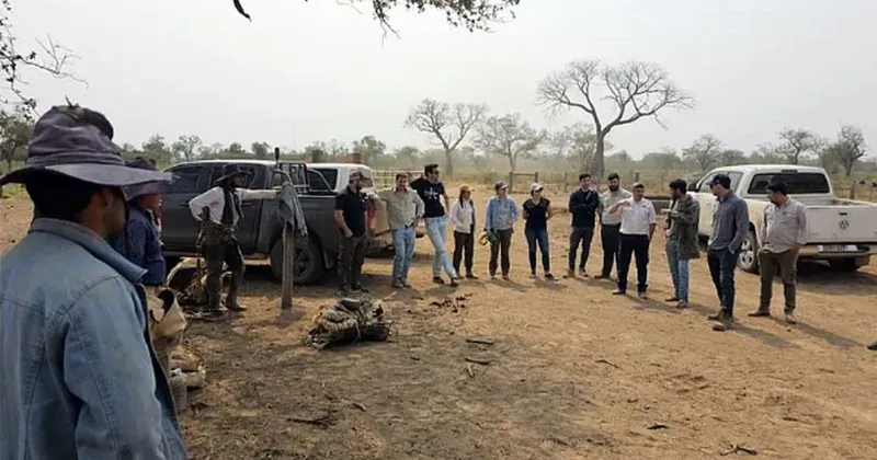  Criadores cordobeses fueron a Paraguay a ver cómo se producen 300kg/ha