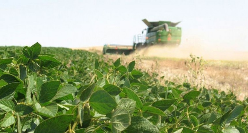 El Gobierno le devuelve U$S 467 millones al campo