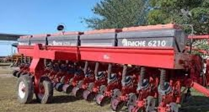 Caería hasta 40% el área maicera en el centro oeste santafesino