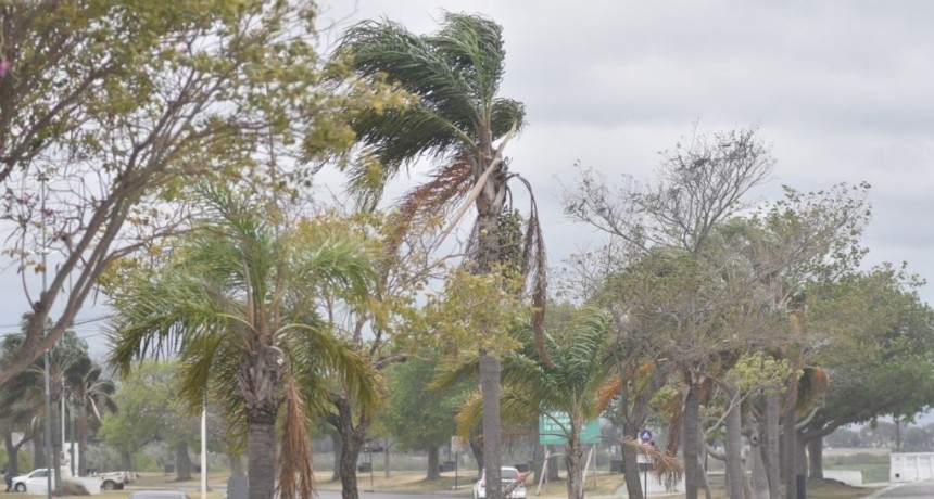 Alerta por vientos para casi toda la provincia de Santa Fe
