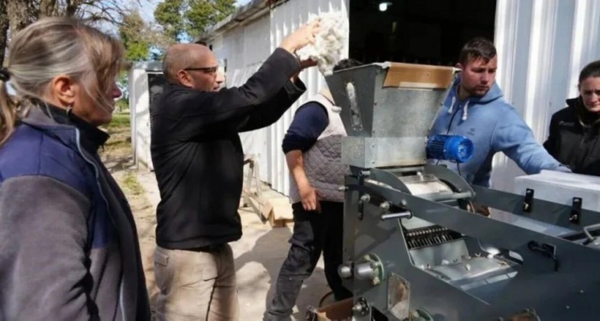 Desarrollan una máquina para el desmotado de algodón en pequeña escala