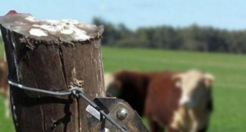 Cuvertino: “Necesitamos proteger a los productores rurales y garantizar la seguridad del campo”
